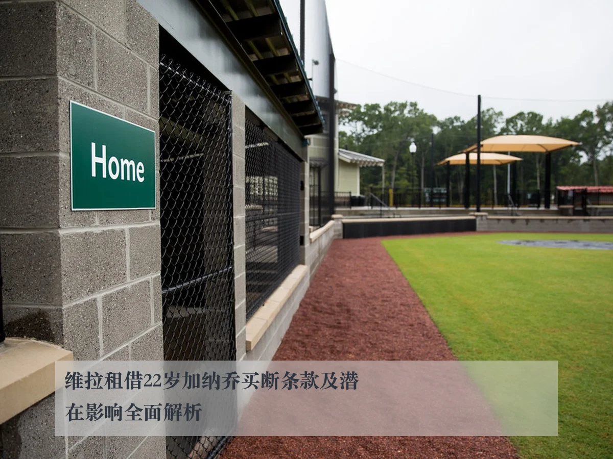 维拉租借22岁加纳乔买断条款及潜在影响全面解析
